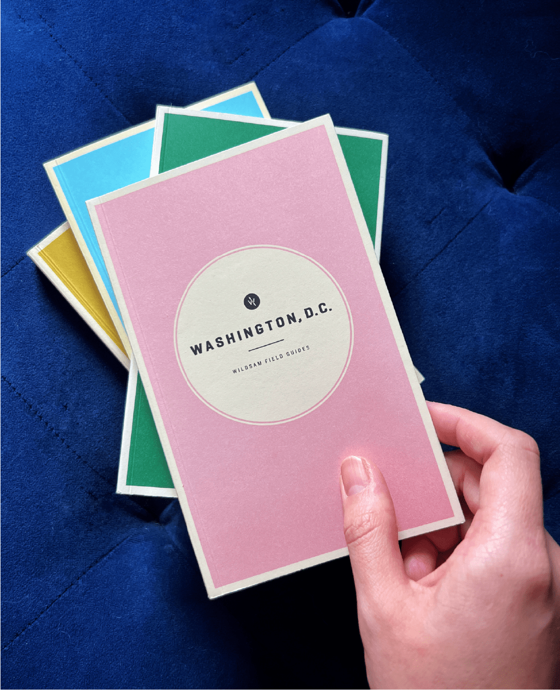 Washington D.C. Field Guide - Wander Together Outfitters