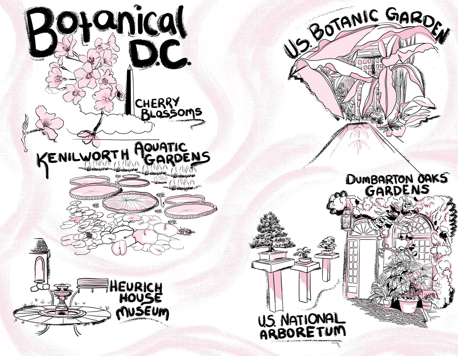 Washington D.C. Field Guide - Wander Together Outfitters