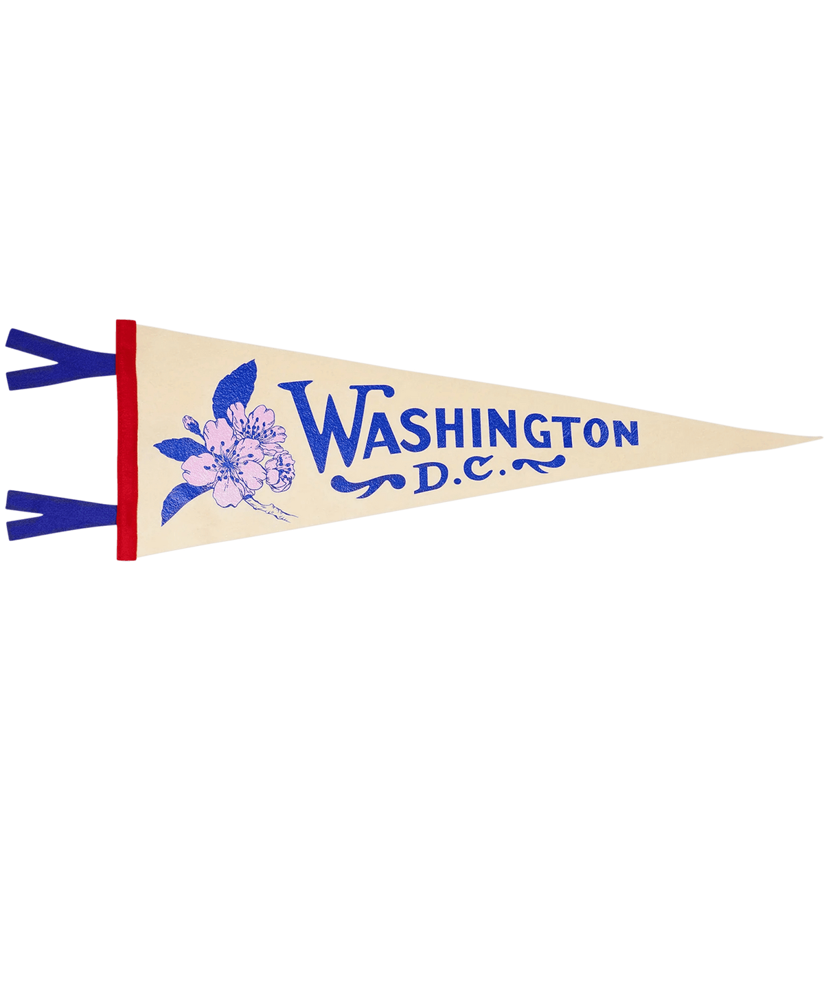Washington D.C. Pennant - Wander Together Outfitters