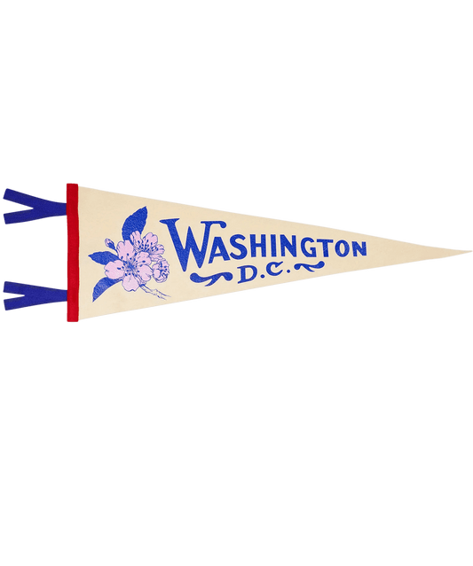 Washington D.C. Pennant - Wander Together Outfitters