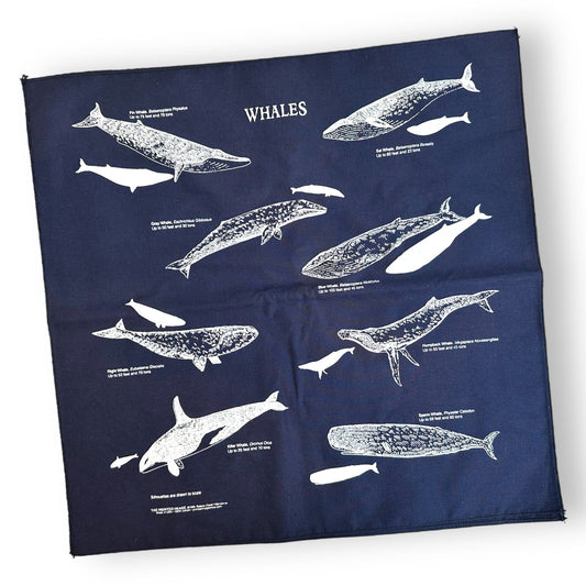 Whales Bandana - Wander Together Outfitters