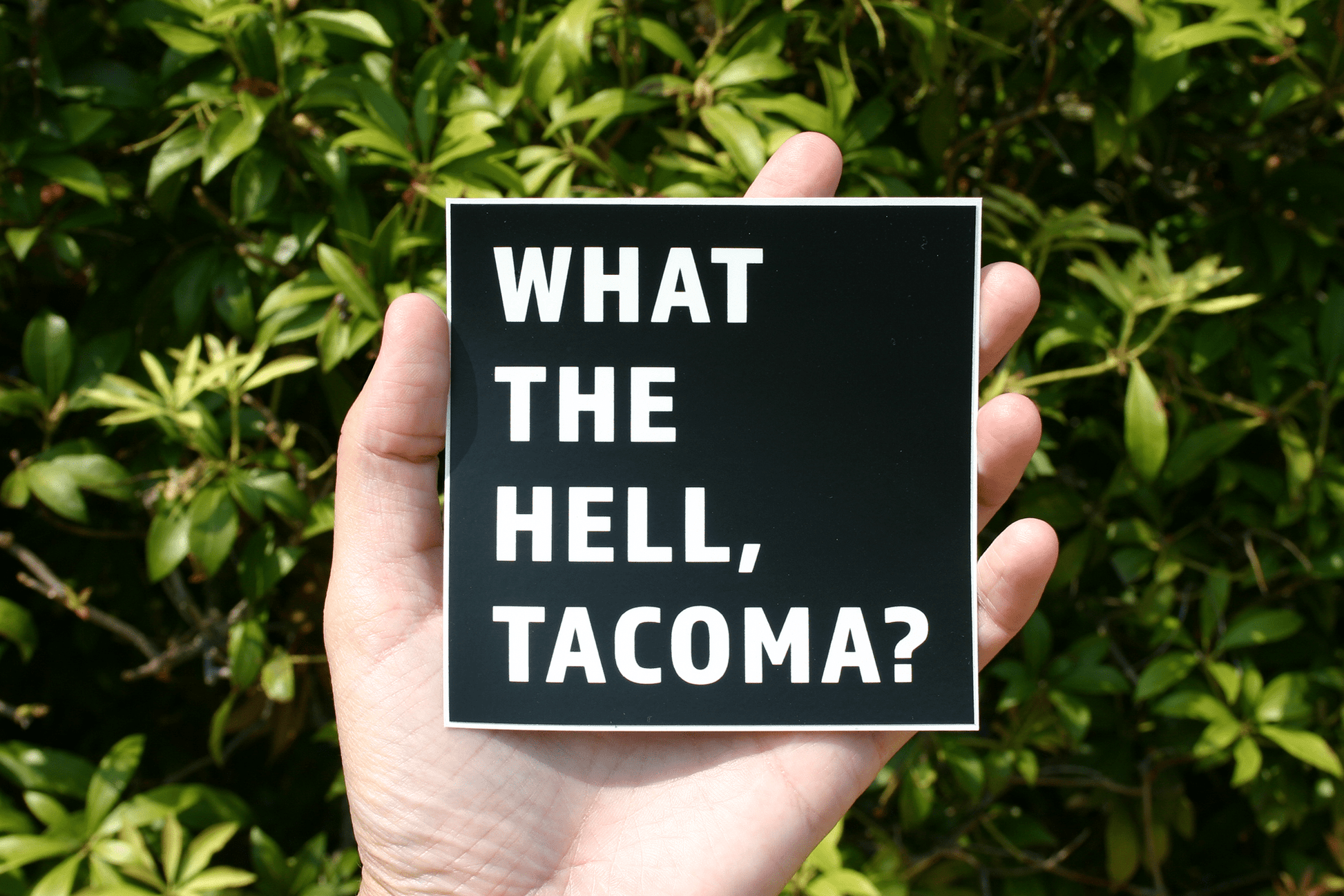 “What The Hell, Tacoma”Vinyl Sticker - Wander Together Outfitters