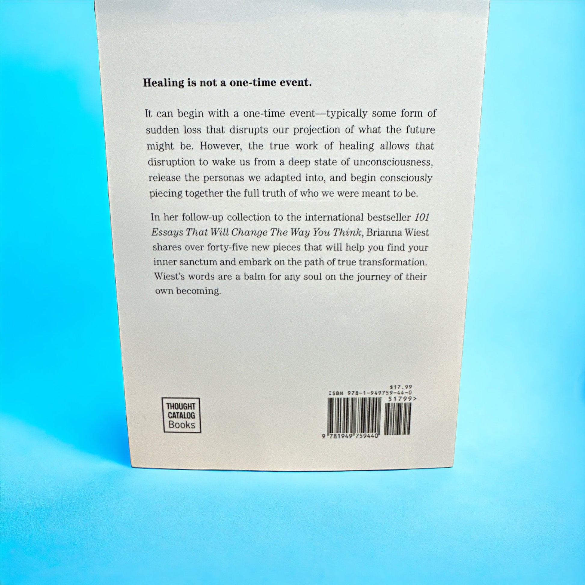 “When You're Ready, This Is How You Heal” Book - Wander Together Outfitters