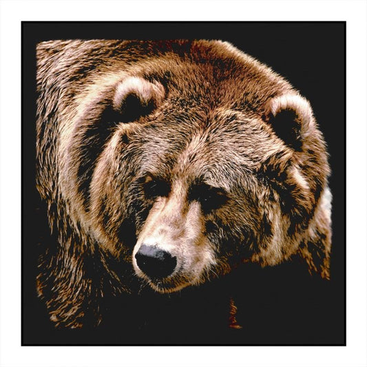 Wild Bear Bandana - Wander Together Outfitters