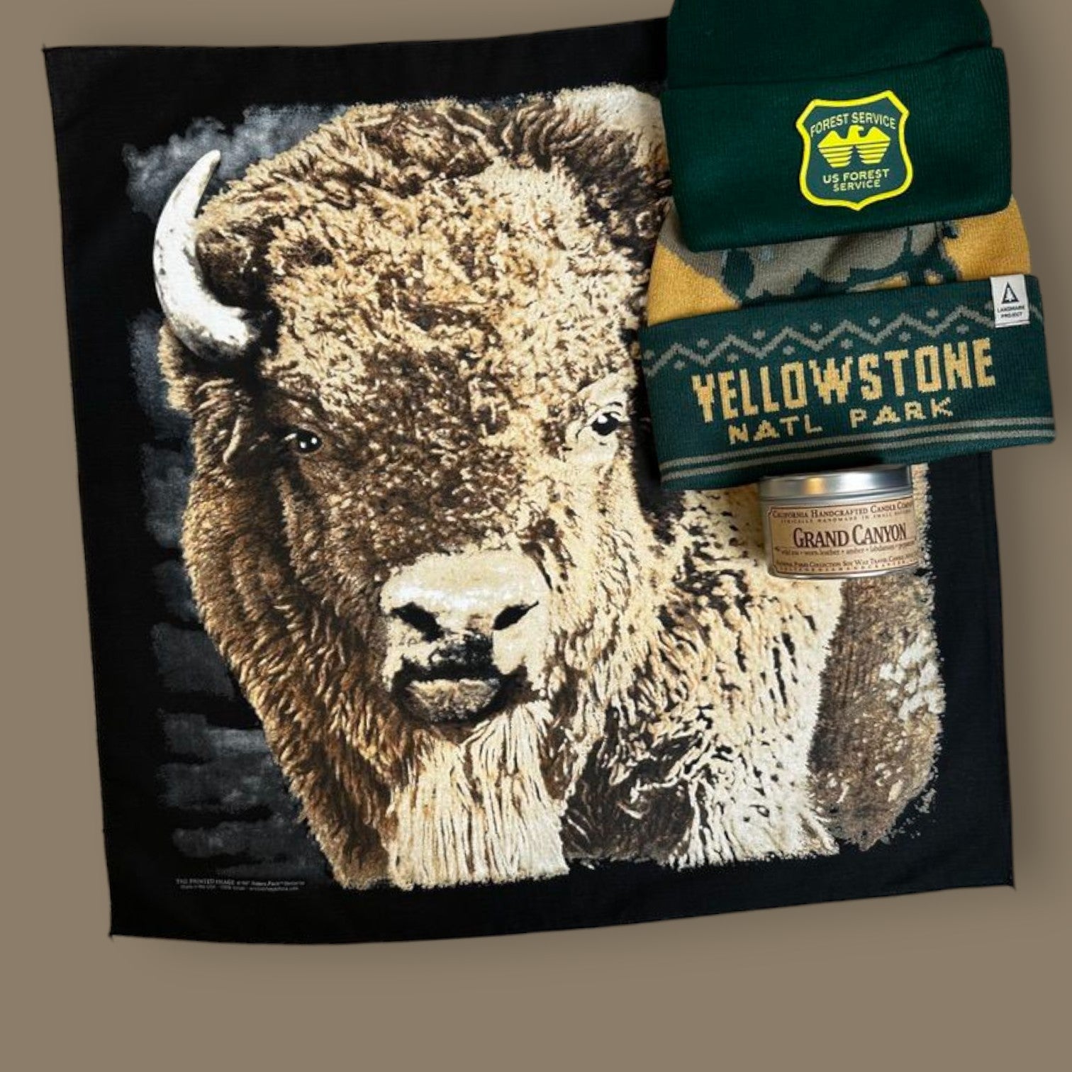 Wild Bison Bandana - Wander Together Outfitters