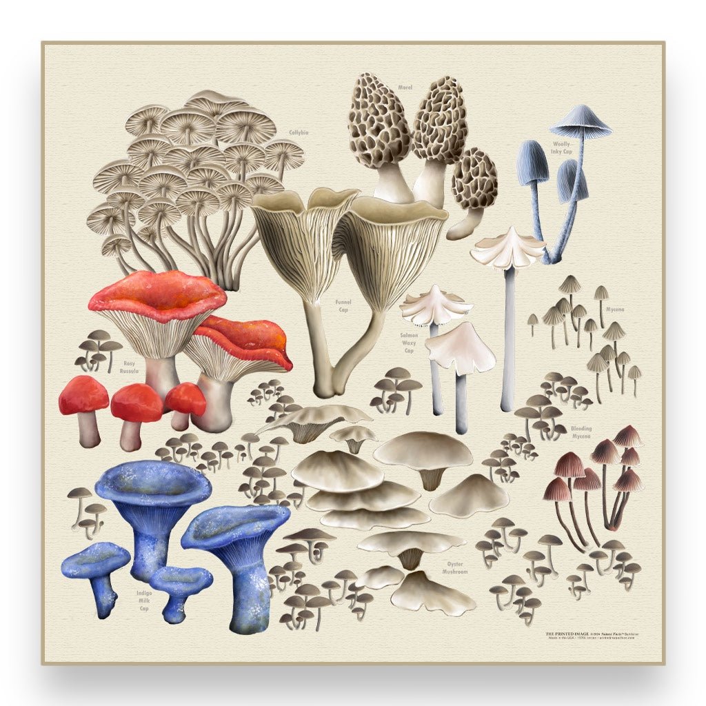 Wild Mushroom Bandana - Wander Together Outfitters