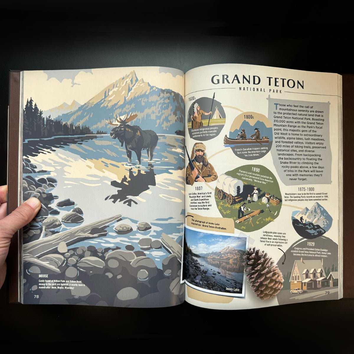Wilderness & Wonder: An Illustrated Guide to the National Parks Hard Cover Book - Wander Together Outfitters