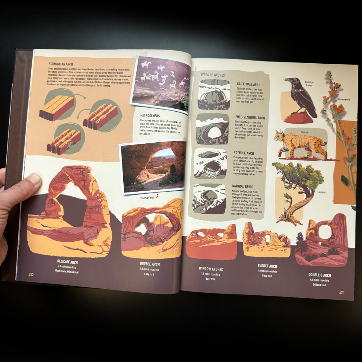 Wilderness & Wonder: An Illustrated Guide to the National Parks Hard Cover Book - Wander Together Outfitters
