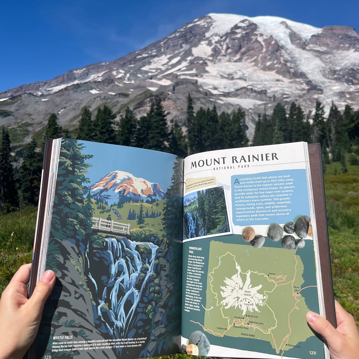 Wilderness & Wonder: An Illustrated Guide to the National Parks Hard Cover Book - Wander Together Outfitters
