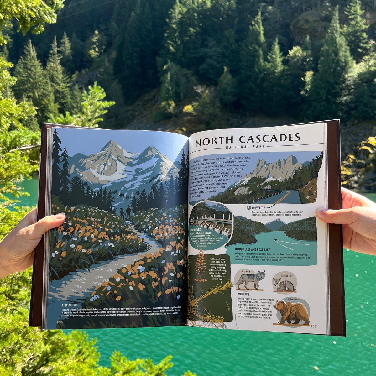 Wilderness & Wonder: An Illustrated Guide to the National Parks Hard Cover Book - Wander Together Outfitters