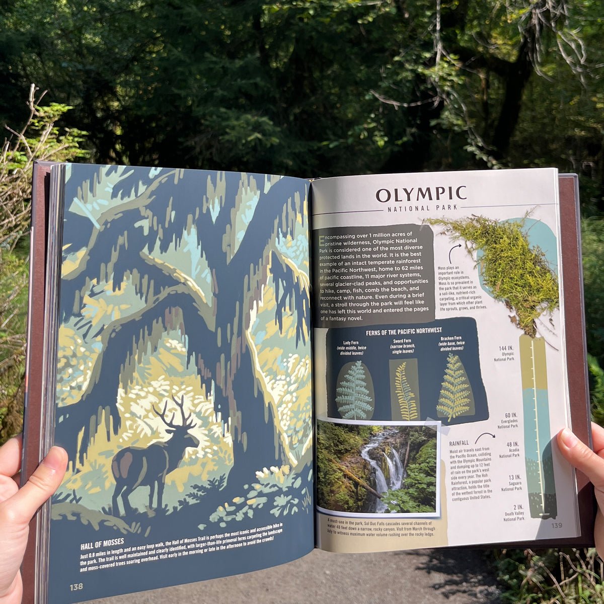 Wilderness & Wonder: An Illustrated Guide to the National Parks Hard Cover Book - Wander Together Outfitters