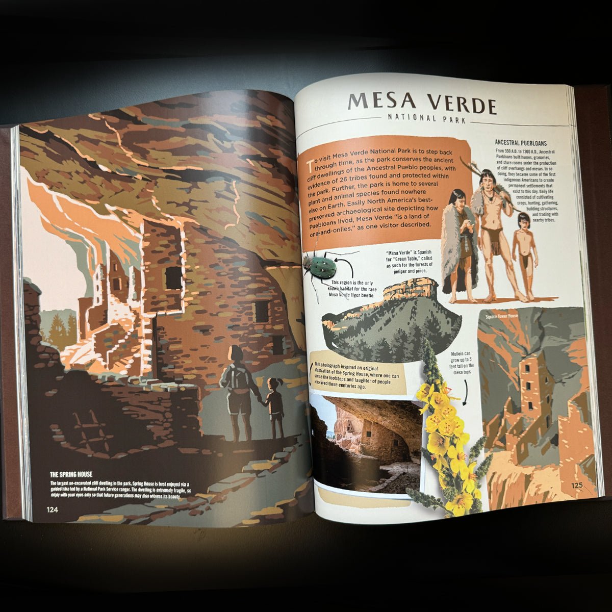 Wilderness & Wonder: An Illustrated Guide to the National Parks Hard Cover Book - Wander Together Outfitters