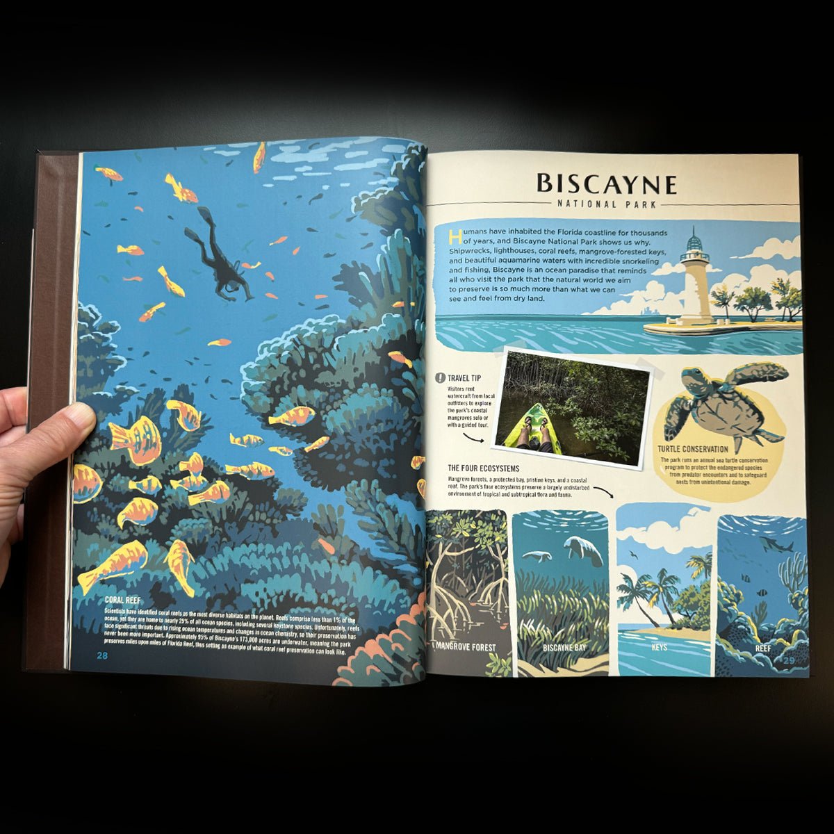 Wilderness & Wonder: An Illustrated Guide to the National Parks Softcover Book - Wander Together Outfitters