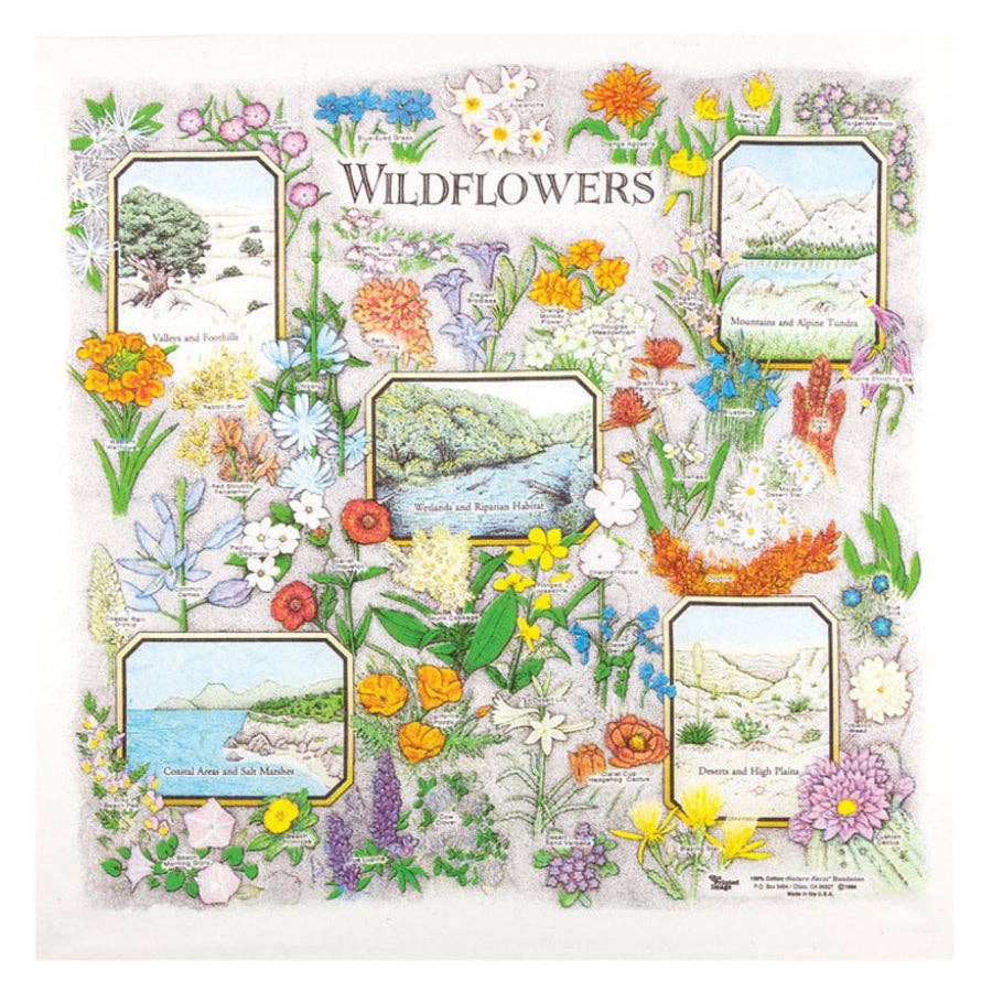 Wildflowers Oversized 22" Bandana - Wander Together Outfitters