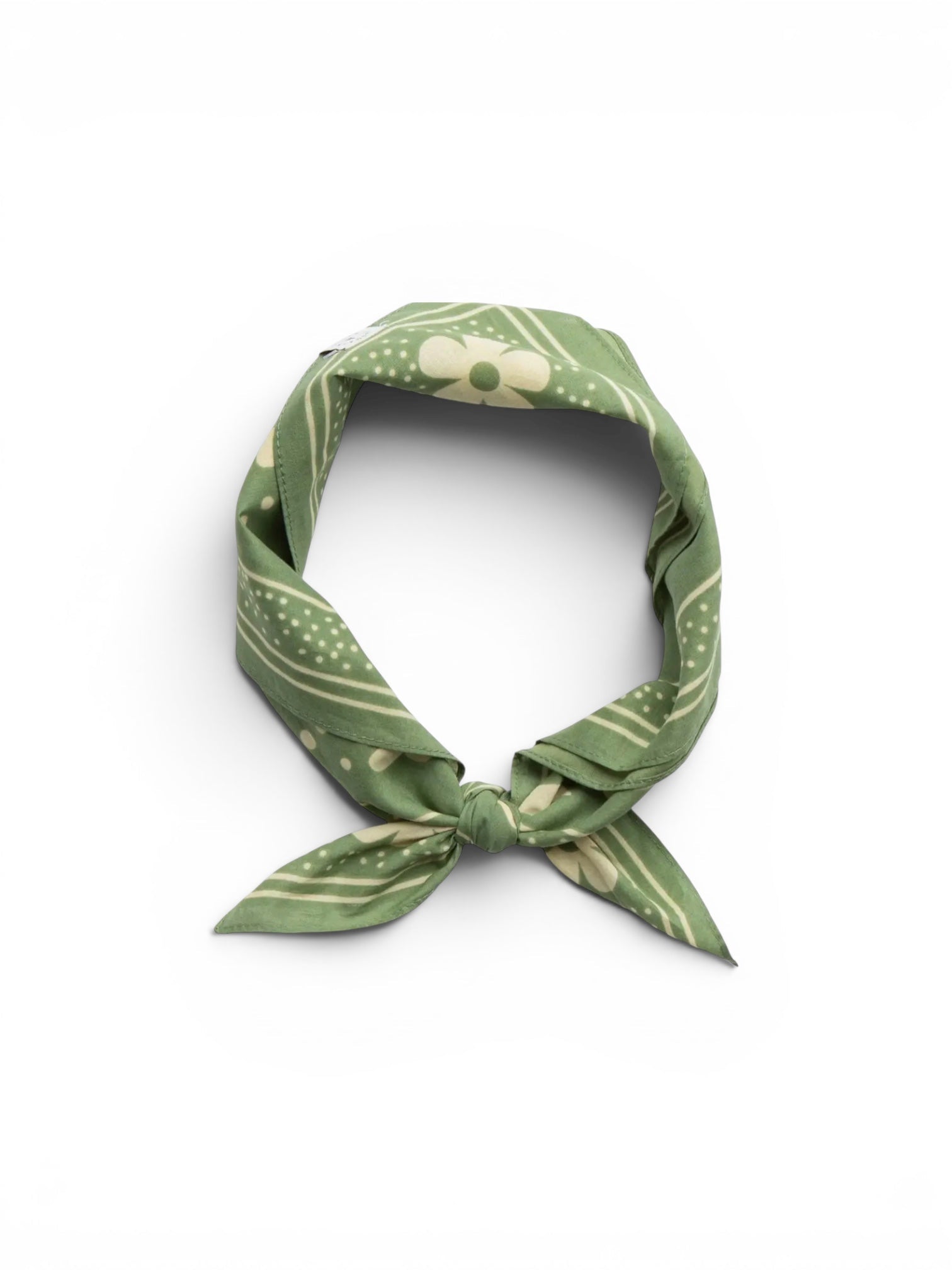 Woodsy Owl Bandana - Wander Together Outfitters