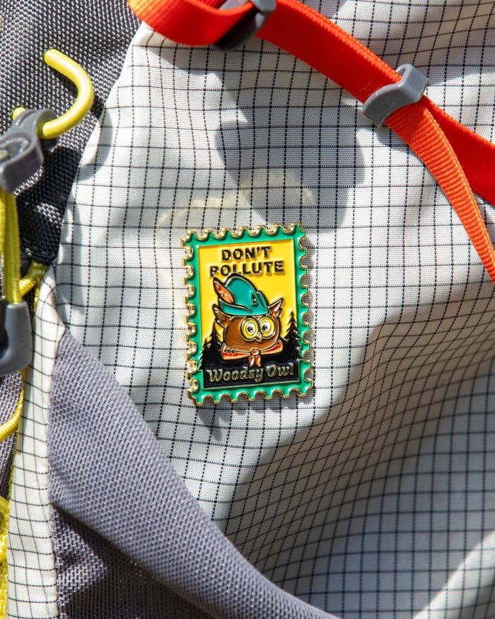 Woodsy Owl Postage Stamp Pin - Wander Together Outfitters