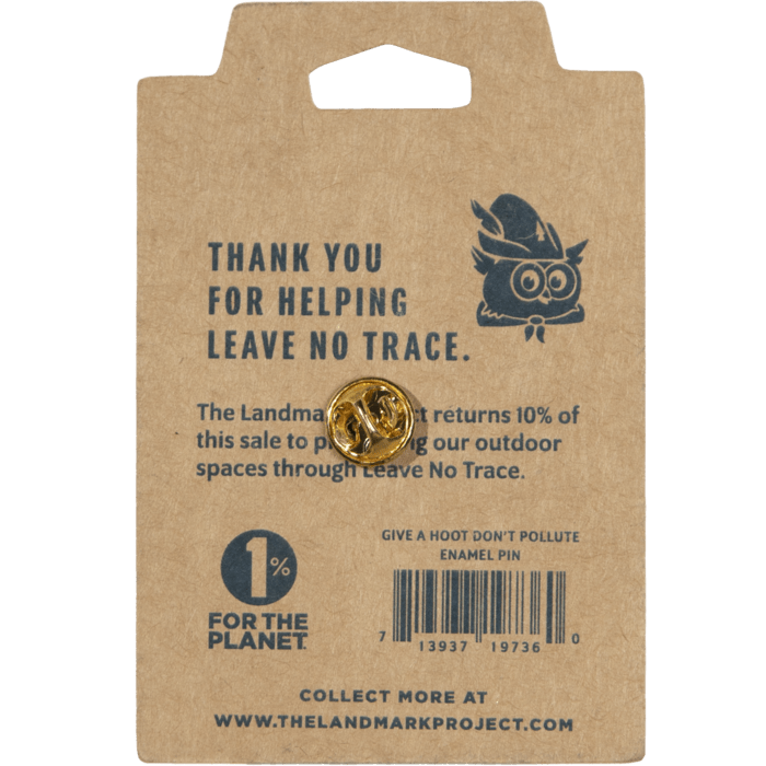 Woodsy Owl Postage Stamp Pin - Wander Together Outfitters