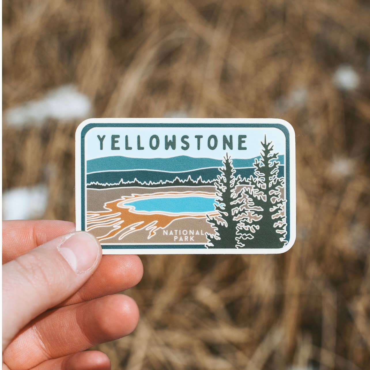 Yellowstone Prismatic Spring Stained Glass Vinyl Sticker, License Plate Series - Wander Together Outfitters