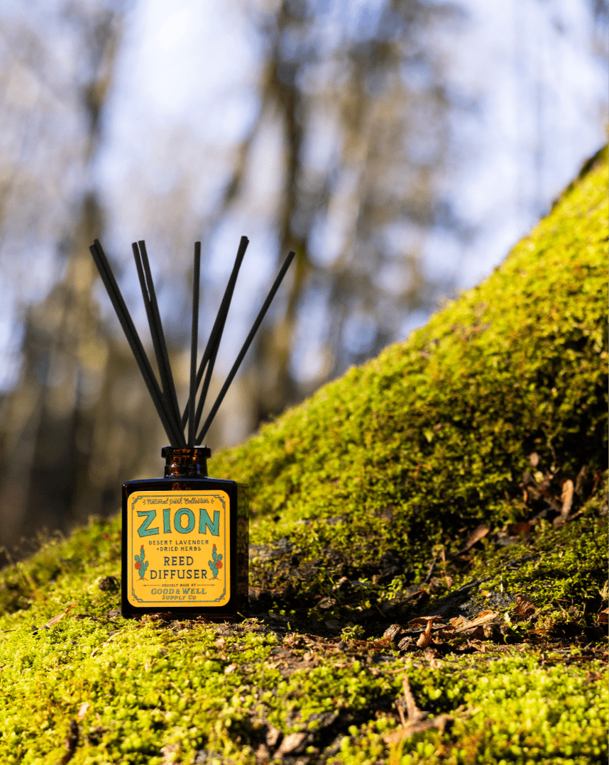 Zion National Park Reed Diffuser (Desert Lavender and Dried Herbs) - Wander Together Outfitters