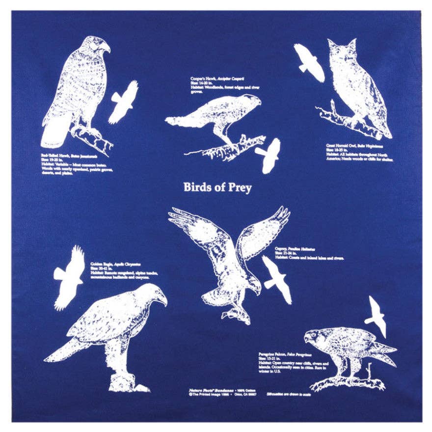 Birds of Prey Bandana - Wander Together Outfitters