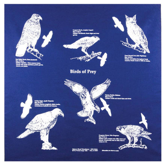 Birds of Prey Bandana - Wander Together Outfitters