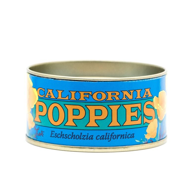 California Poppy | Flower Seed Grow Kit - Wander Together Outfitters