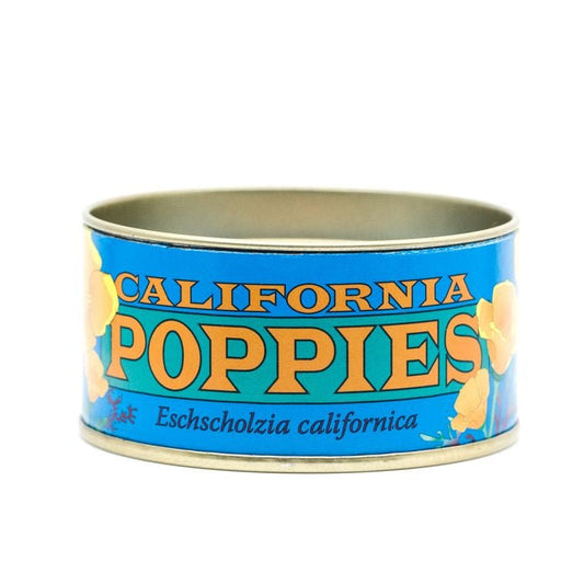 California Poppy | Flower Seed Grow Kit - Wander Together Outfitters