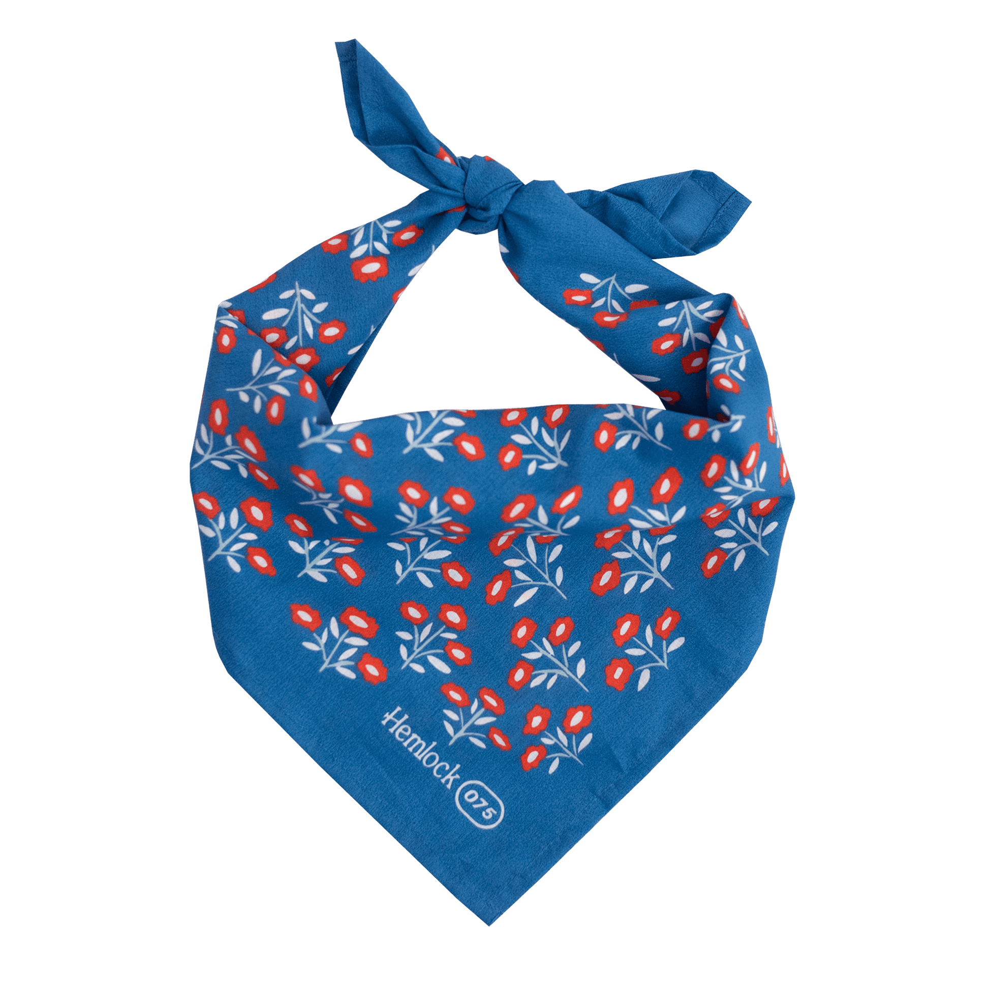 Juliet Floral Bandana 075 - Wander Together Outfitters