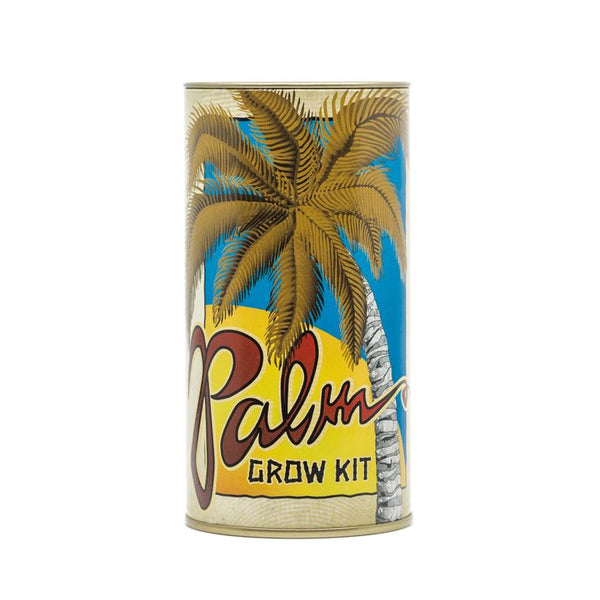 Palm Tree | California Fan Palm | Seed Grow Kit