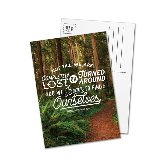 Lost Forest Postcards - Wander Together Outfitters