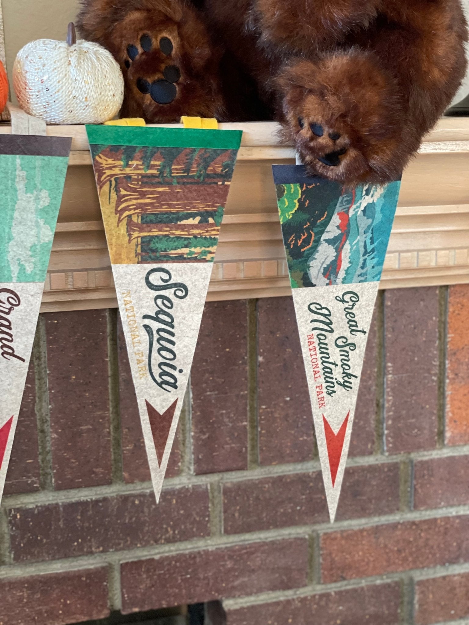 National Parks Mini Felt Pennants – Collect Them All - Wander Together Outfitters