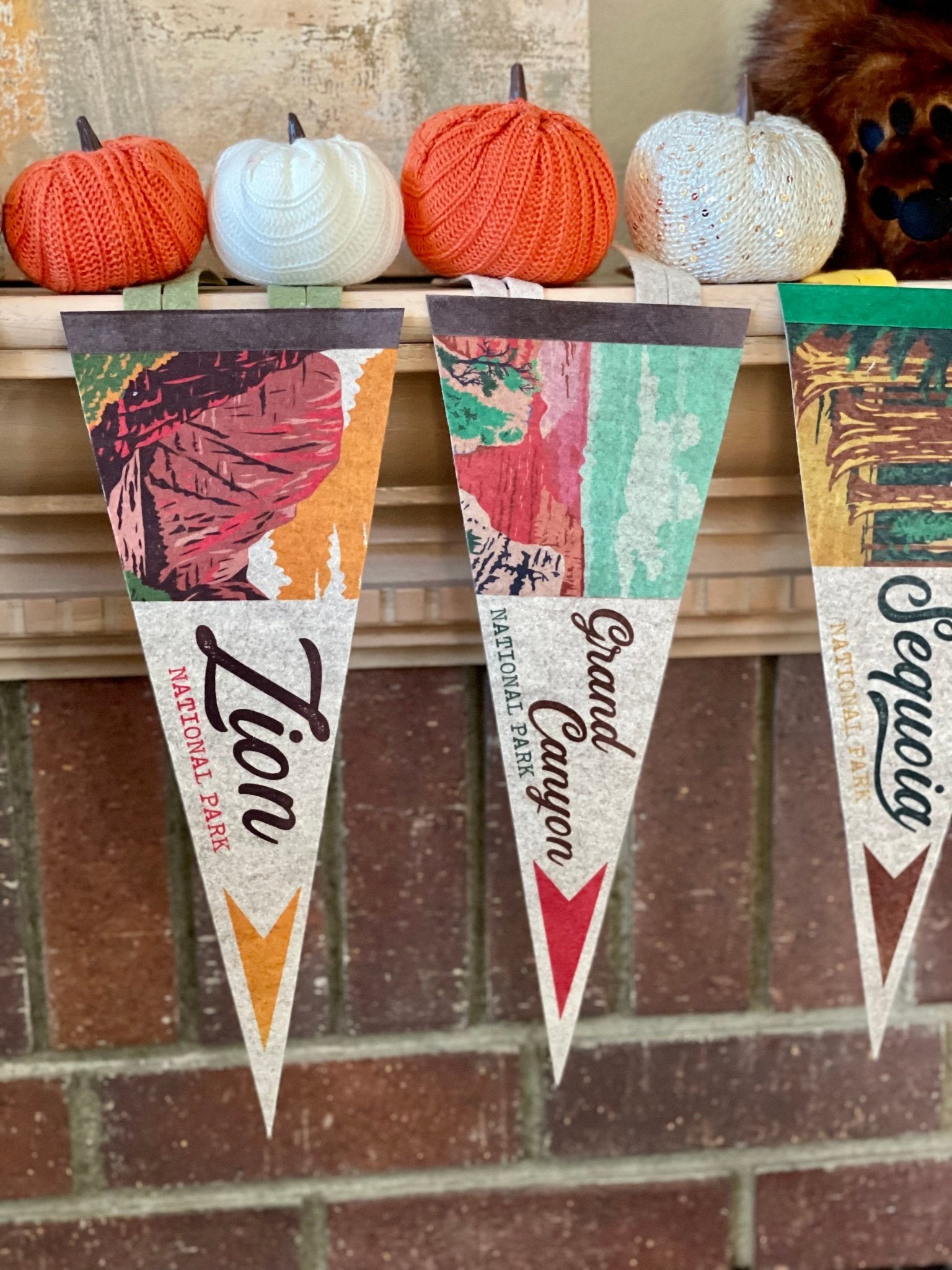 National Parks Mini Felt Pennants – Collect Them All - Wander Together Outfitters