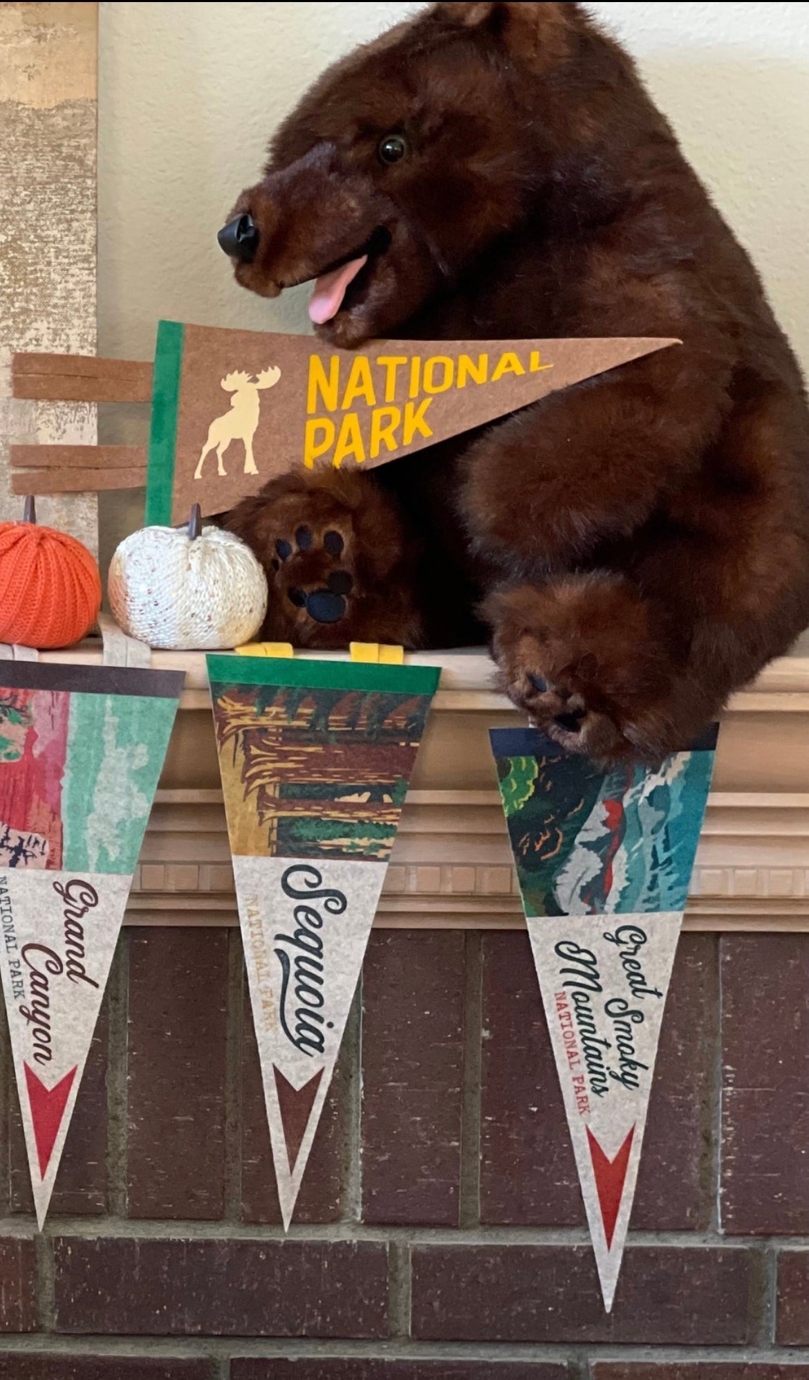 National Parks Mini Felt Pennants – Collect Them All - Wander Together Outfitters