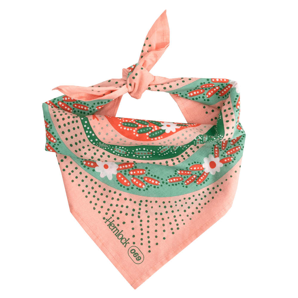 Pink and Green Snakes Bandana - Wander Together Outfitters