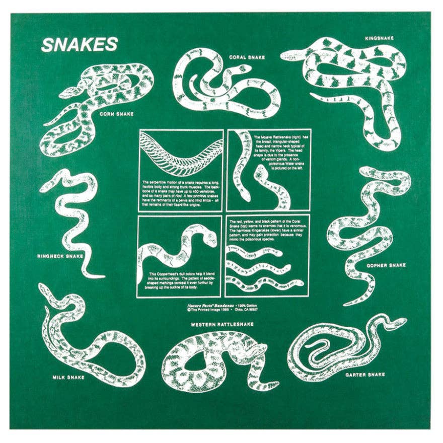Snakes Identification Printed Image Bandanna - Wander Together Outfitters