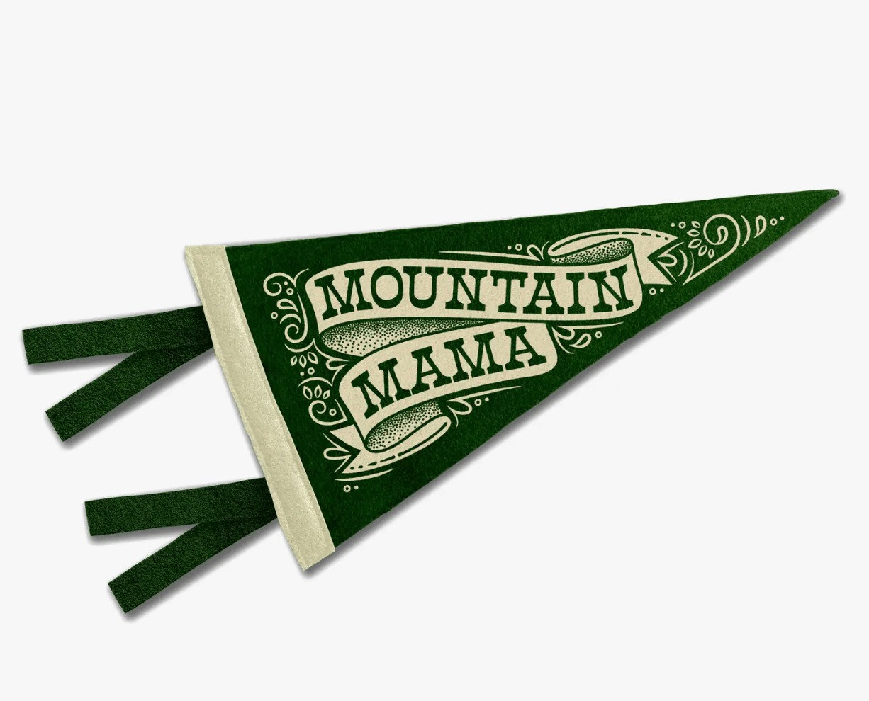Travel Themed Mini Pennants (CLEARANCE) - Wander Together Outfitters